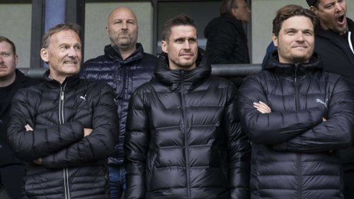 BVB bedient sich in der Bundesliga: Haller-Ersatz offenbar gefunden – „Grundsätzliche Einigung“