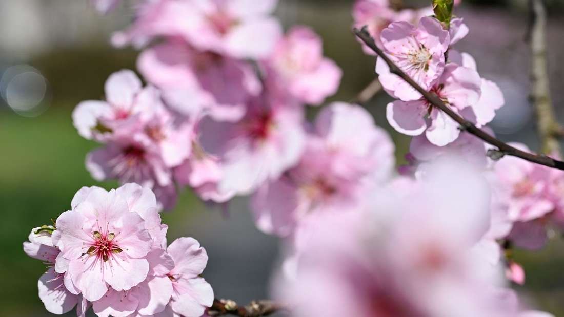 Wetter-Mix zum Ende der Woche
