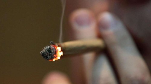 7 Punkte, die zeigen, warum die „Cannabis Legalisierung“ der Ampel nicht so unproblematisch ist, wie gedacht