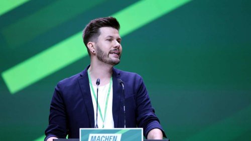 AfD-Entscheidung des Verfassungsschutzes geht für Grünen-Landeschef nicht weit genug
