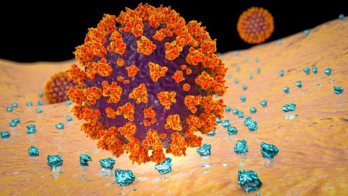 „Das ist unsere Rache am Virus“ – Neues Medikament kann Corona gegen sich selbst richten