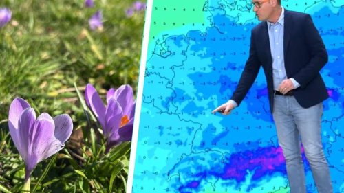 Frühlingswetter in Rheinland-Pfalz: Bis zu 20 Grad und Sonnenschein erwartet