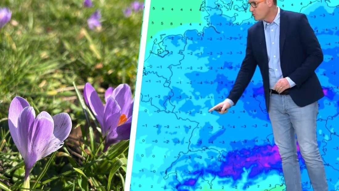 Frühlingswetter in Rheinland-Pfalz: Bis zu 20 Grad und Sonnenschein erwartet