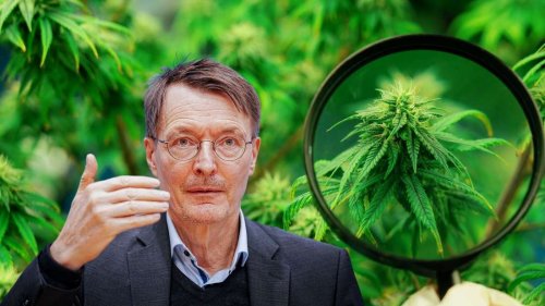 Lauterbachs drei Cannabis-Optionen: Zwischen „Joker“ und „All-in-Lösung“