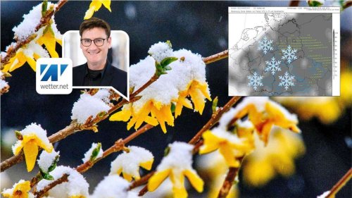 Prognose mit Wintereinbruch und Schnee bis in tiefe Lagen? Wetter-Experte warnt vor „Modellchaos“