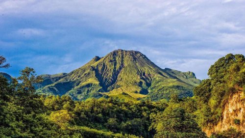 Vom Traumstrand in die Savanne: Die Karibikinsel Martinique