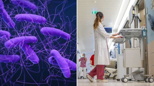 Studie enthüllt versteckte Gefahr: Bakterium breitet sich hartnäckig in Krankenhäusern aus