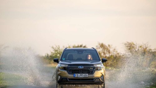 Subaru Forester im Test: Treuer Gefährte mit Offroad-DNA