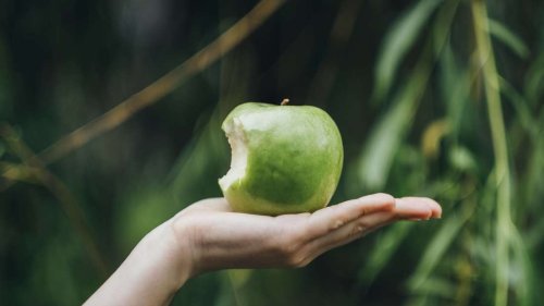 Fettleber rückgängig machen: Sieben Obstsorten, die dem Organ gut tun