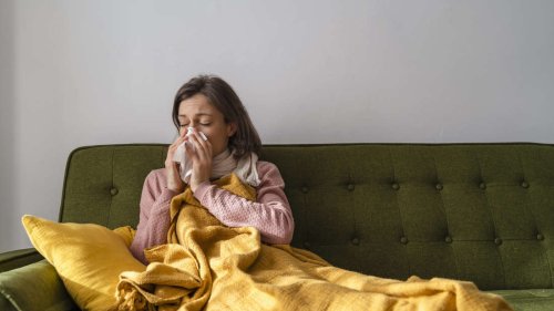 Erkältung und Grippe: Diese sieben Lebensmittel stärken das Immunsystem