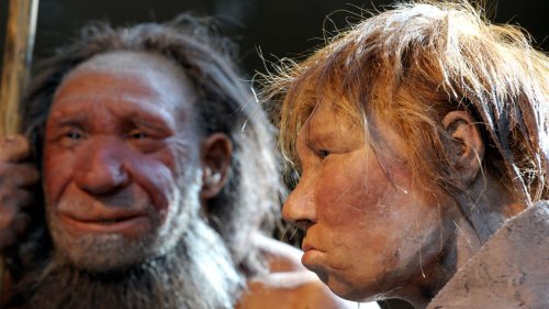 Neandertaler wurden zu Kannibalen - weil es immer wärmer wurde