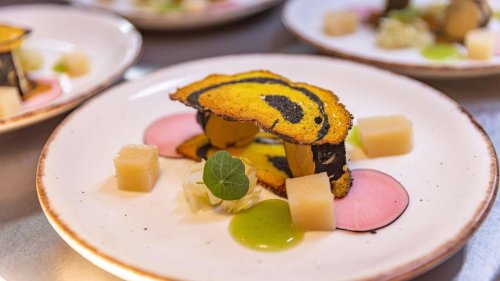 Gourmet-Paradies in Baden-Württemberg: Ein Ort mit zwei Drei-Sterne-Restaurants