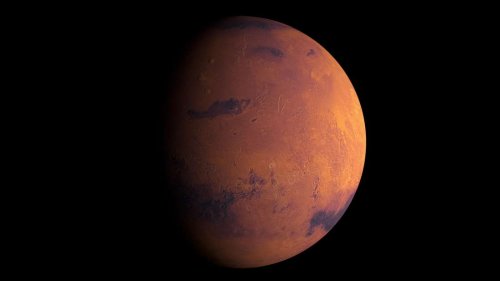 Nasa-Raumsonde entdeckt Bären auf dem Mars
