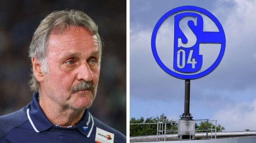 Peter Neururer wirft Schalke-Führung nach Reis-Entlassung „totale Inkompetenz“ vor