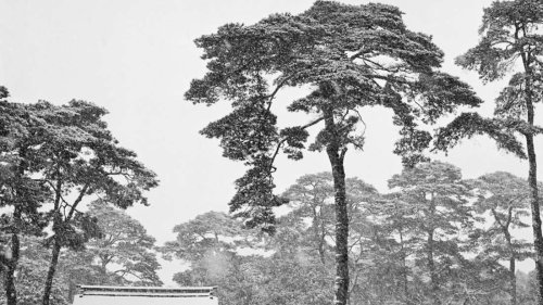 Fotografien von Werner Bischof in Frankfurt – Mit dem feinsten Pinsel