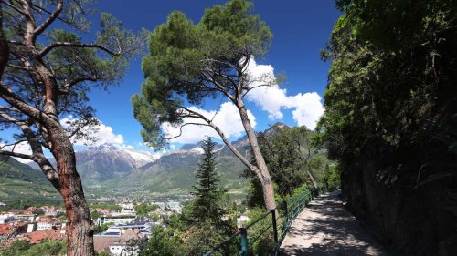 Deutsche Wanderer finden Leiche in Südtirol: Vermisster nach Monaten entdeckt