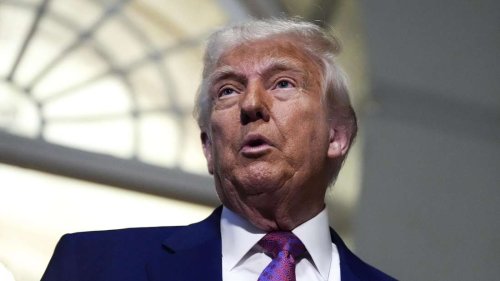 „Behandeln ihn wie einen König“: Trumps „MAGA-Konten“ machen Demokraten fassungslos
