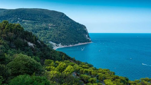 Sorge wegen Tierchen in der Adria: Italienische Region will Katastrophenfall ausrufen