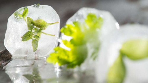 Einfrier-ABC: Was geht und was nicht - und wie lange?