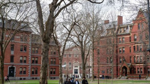 Trumps Attacke gegen Harvard: Feldzug gegen Wissenschaft