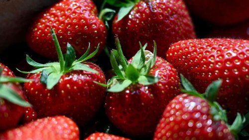 Umwelt- und Klimaschutz: Mach mal eine Erdbeere!
