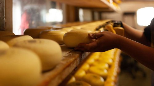 Dringender Käse-Rückruf: Fieber und Durchfall drohen – Mehrere Bundesländer betroffen