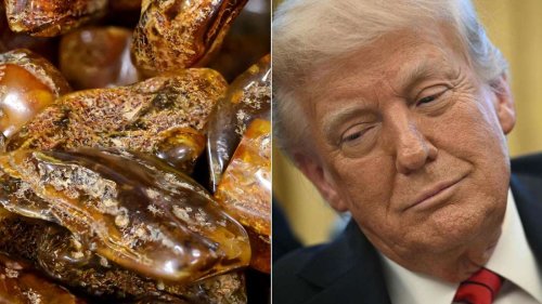 Trump bekommt offenbar Rohstoff-Deal mit Ukraine – endet damit auch Putins Krieg?