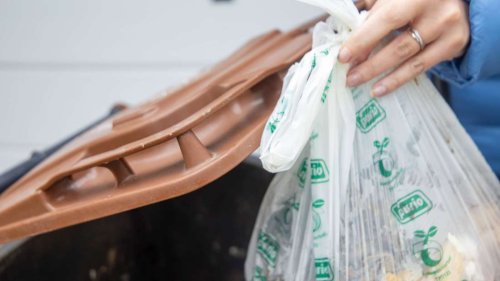 Neue Regeln für den Bio-Müll: In diesen Fällen droht bald ein Bußgeld