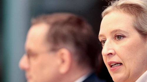 CSU-Urgestein bringt Alternative zu AfD-Verbot ins Spiel: „Es gibt auch andere Instrumente“