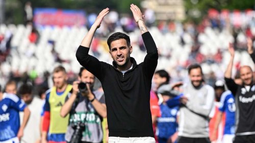 Fabregas-Wechsel in die Bundesliga soll feststehen