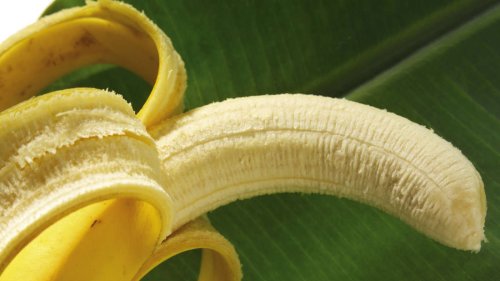 Zimmerpflanzen wieder aufpäppeln – mithilfe von Bananenschalen