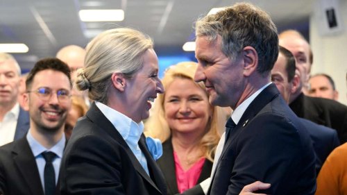 „Brauchen keine lesbische Marionette“: Steht Höcke vor der Machtergreifung?
