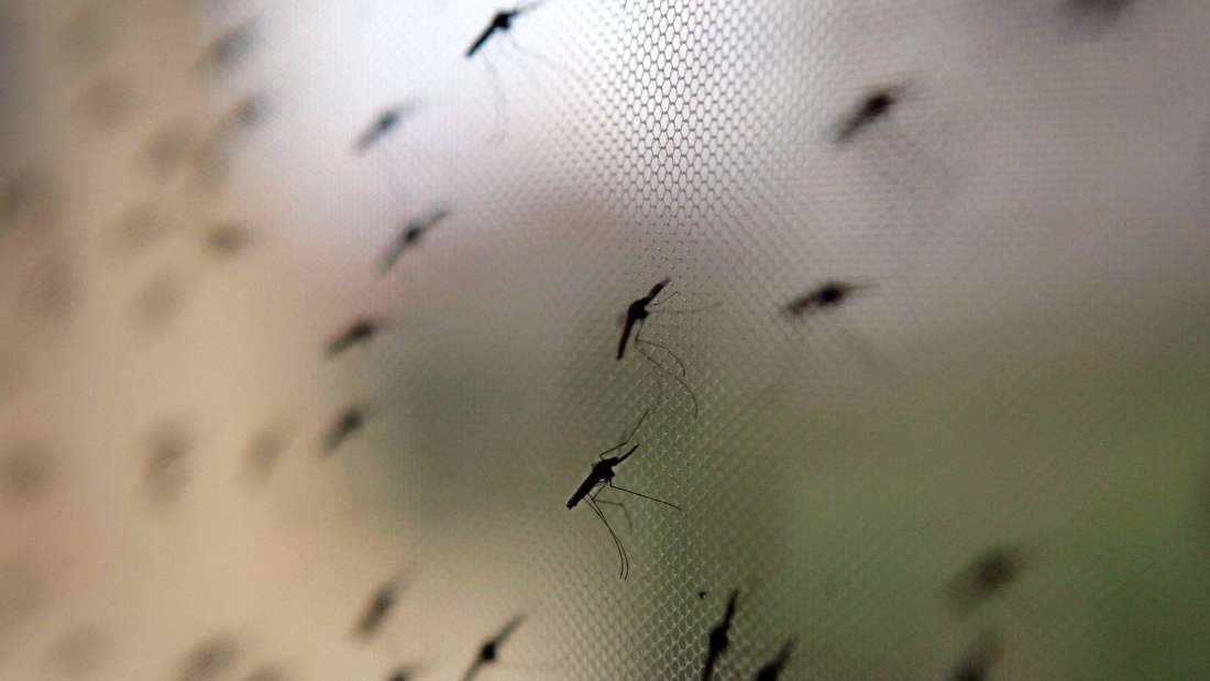 Reisemediziner warnen vor Malaria in Namibia