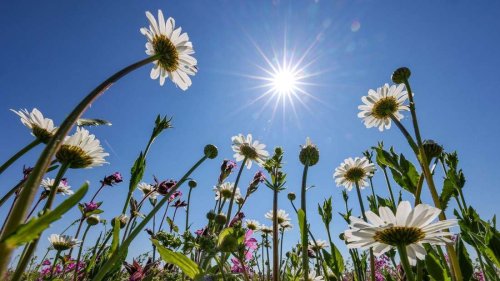 Perfektes Wetter am Mai-Feiertag - doch dem Frühsommer droht ein „jähes Ende“