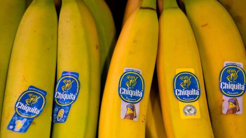 Marktbeobachter: Banane wird nicht zur Mangelware