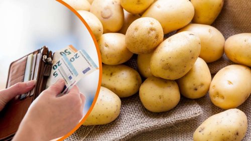 Kartoffel-Ernte steckt fest: Supermarkt-Kunden droht Preis-Hammer