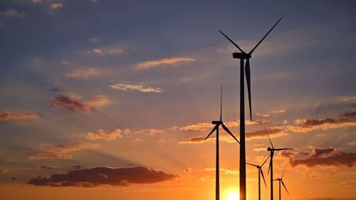 Grün und günstig: Drei Unternehmen, die den Strom-Markt aufwirbeln