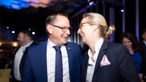 10 Jahre AfD: Elefanten im Raum