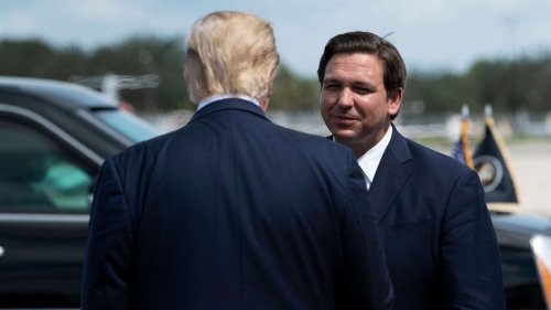 „Kein tägliches Drama“: Ron DeSantis reizt Trump mit einem Interview bei Piers Morgen