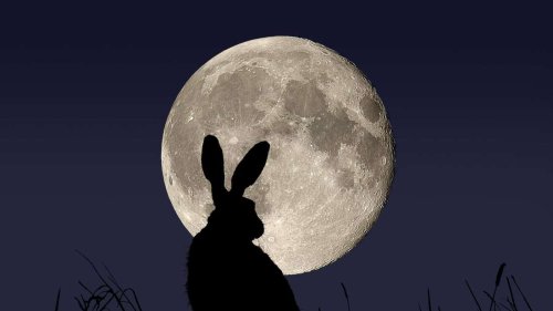Wie der Vollmond das Datum für Ostern festlegt