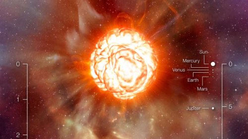 Stern Beteigeuze leuchtet deutlich heller – Wird er als Supernova explodieren?