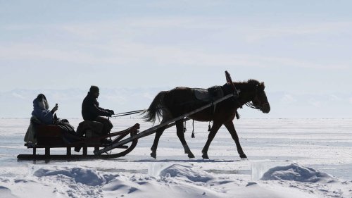Drama nach Winter-Einbruch: Kutscher wird in Pferde-Schlitten eingeklemmt – und erlebt Tortur