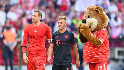 FC Bayern ändert Maskottchen: Fans laufen dagegen bei Instagram Sturm – „Du bekommst einen Shitstorm“