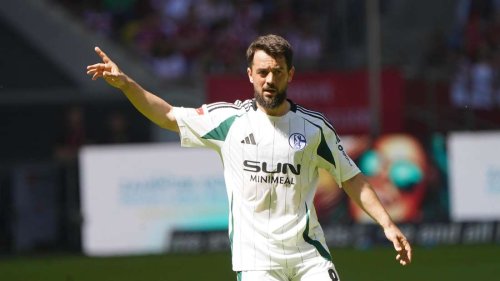 FC Schalke 04 gegen SV Elversberg live im TV und Stream: Hier sehen Sie die 2. Bundesliga
