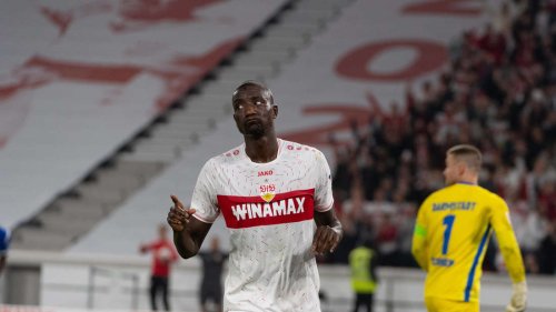 Überflieger Guirassy und bärenstarker Fan-Support: Was bei VfB gegen Darmstadt aufgefallen ist