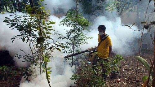 Mehr als Tausend Tote wegen Dengue-Fieber in Bangladesch