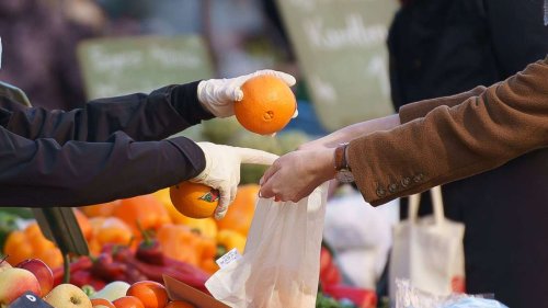Winter-Obst: Orangenschalen verrotten auf Kompost schlecht
