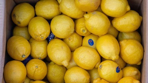 Zitronen sicher lagern: So lässt sich Schimmelbildung verhindern