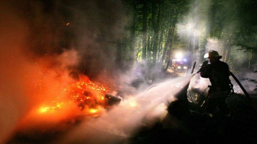 Waldbrandgefahr und trockene Böden - Was sind die Folgen?