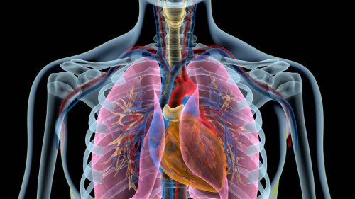 Lungenembolie: Symptome, bei denen Sie handeln sollten